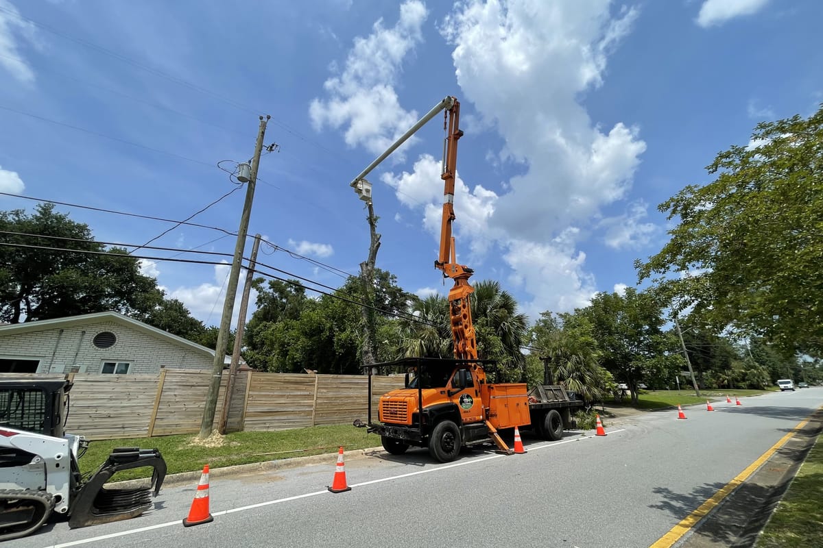 An orange bucket truck working a roadside tree with cones out along the street