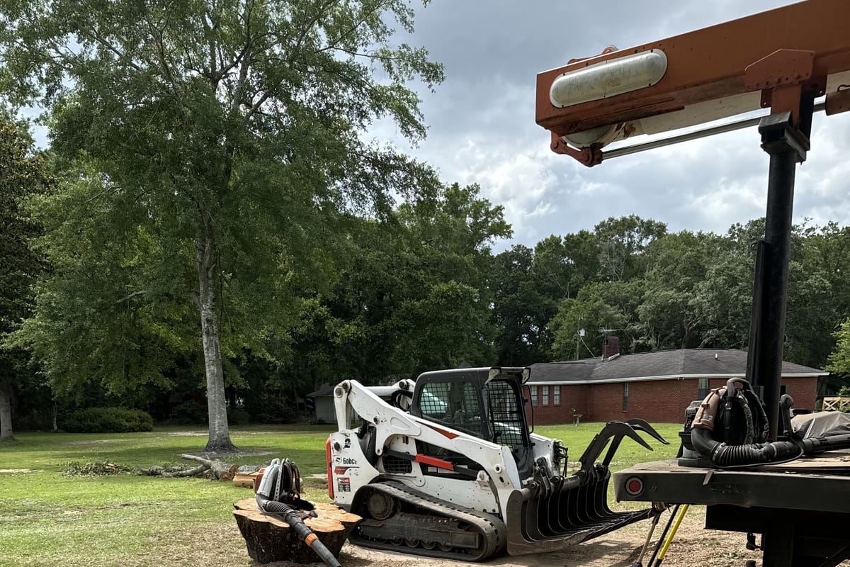 A skid steer with a grapple picking up brush from a cleared yard