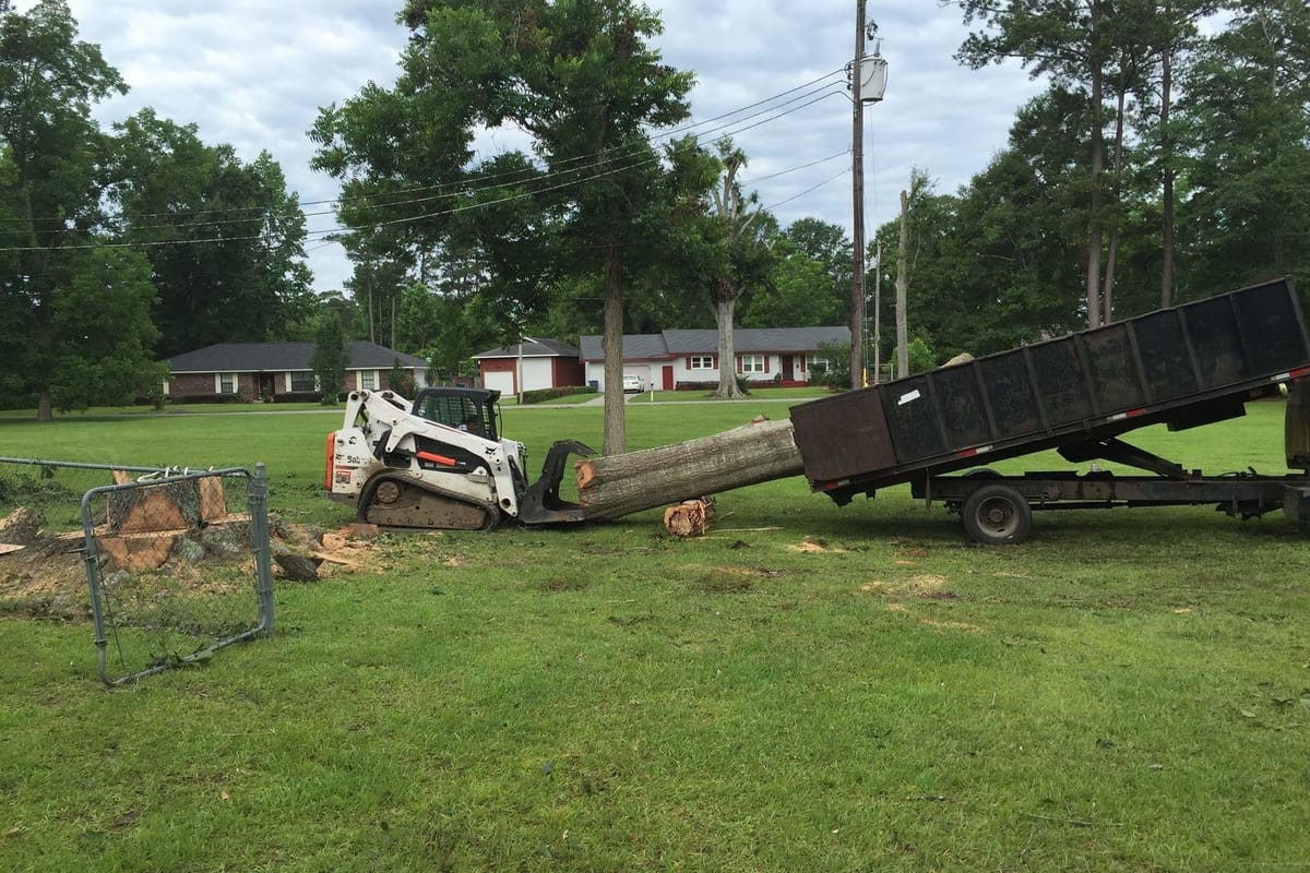 A skid steer loading cut logs onto a dump trailer in a mown yard