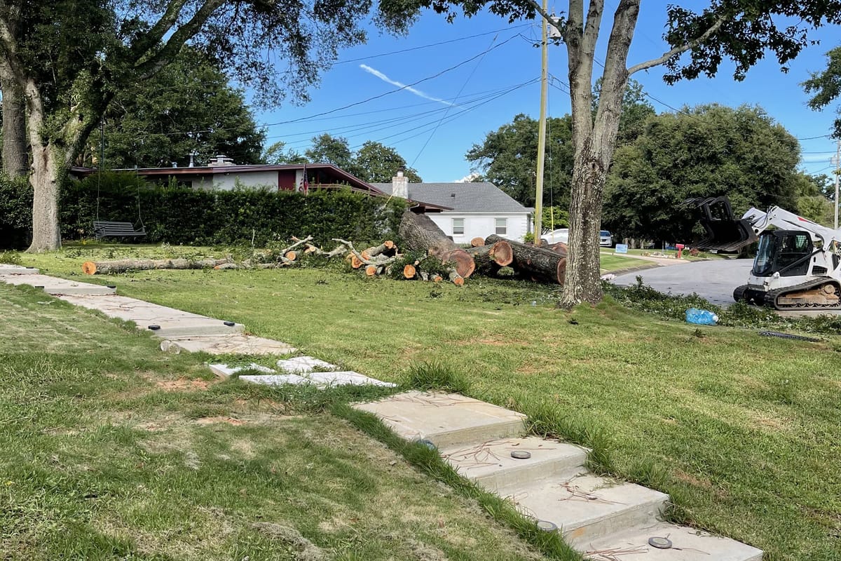 A front lawn with the pruned limbs stacked at the street and a truck ready to load them