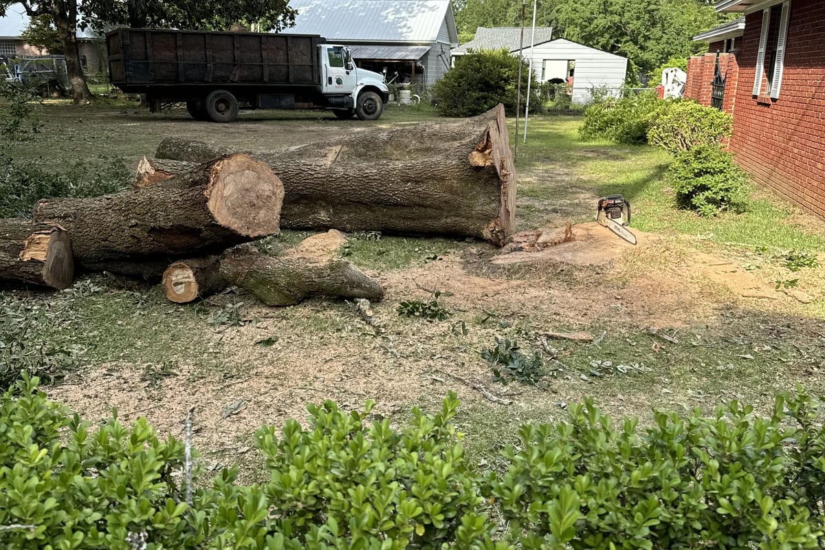 Bucked oak logs on a lawn next to a house with the loader truck parked behind them