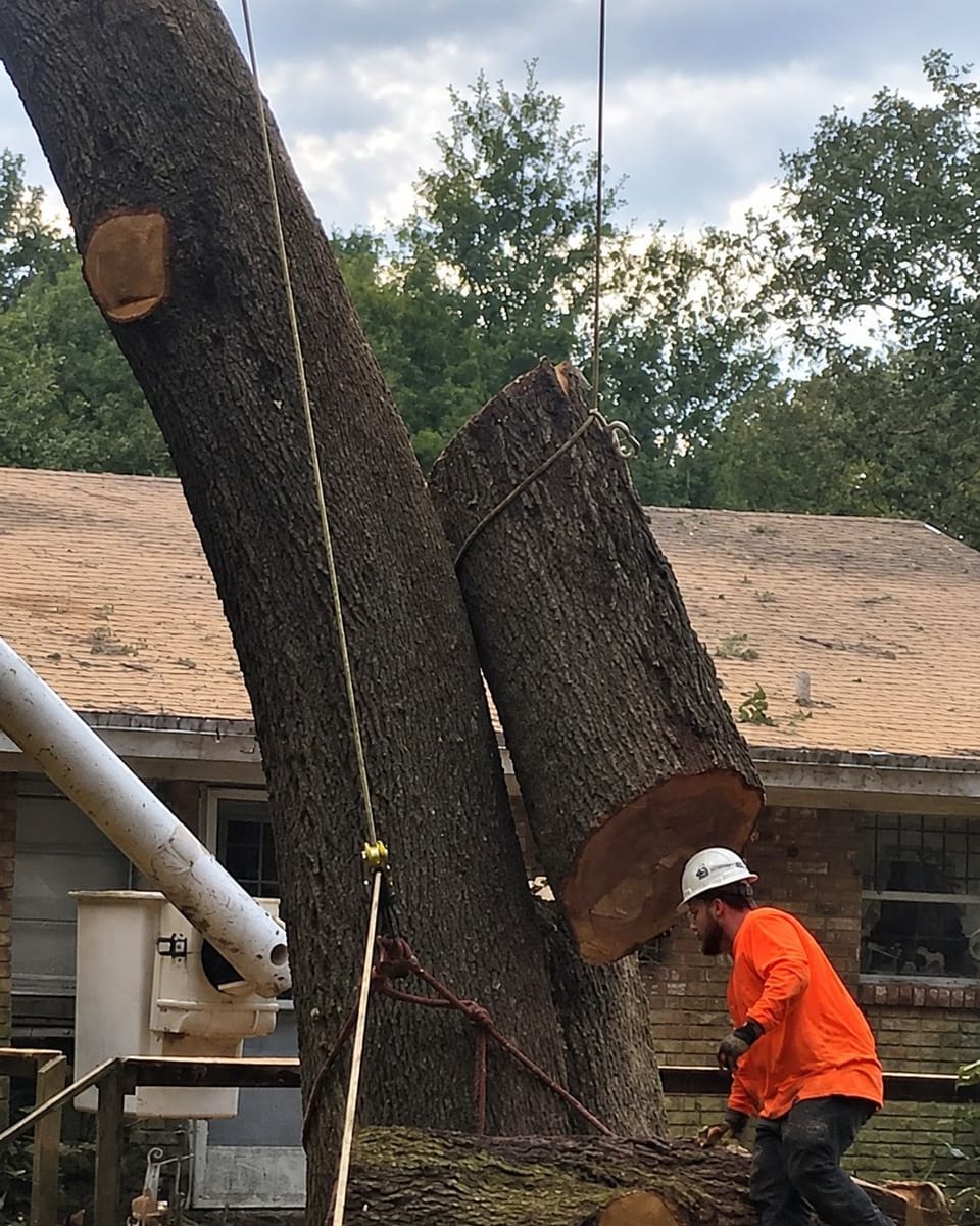 Two big trunk sections roped and lowered past the corner of a house while a crew member in orange guides them
